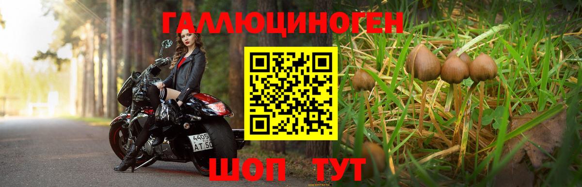 Псилоцибиновые грибы ЛСД Донецк